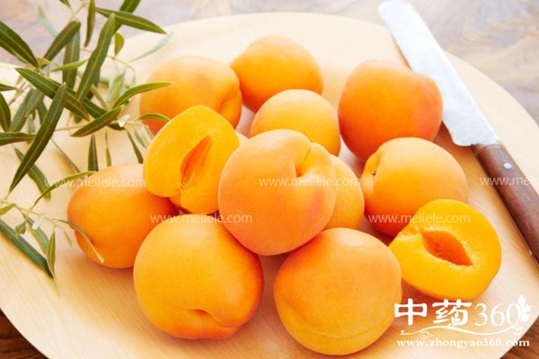 chixingyoushenmehaochu