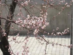 �һ���������Щ�ô� �һ������շ�