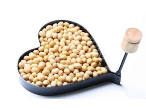 Ӱ������������������� ������������ʮ��