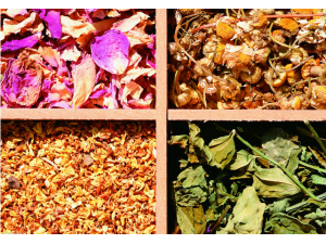 ʳƷ϶ҩƷЩӰ ͶҩƵӰЩ