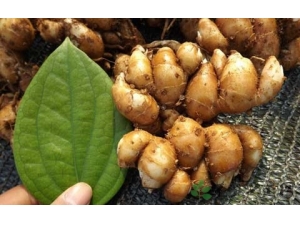 ɽ��ɳ���Ĺ�Ч������