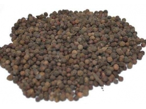 ������͵Ĺ�Ч������