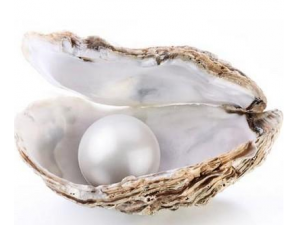 ��Ƥ�׷�����ԭ�� ��֪����