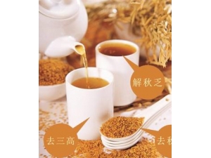 �ڿ�������������Щ