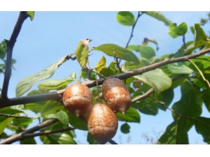 ���ݵ�Ӫ����ֵ ���ݵ��÷�������