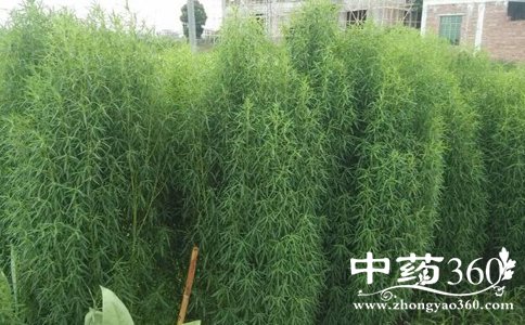 ɨʲôҩЧ ɨ˵ĹЧ ɨ˵