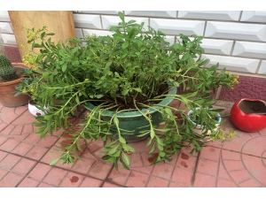 3���ļ�����С���� ��Ч��ֹ���Ӷ�ҧ