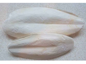 ī��Ƿ۵����� ī��Ƿ����ҩ��