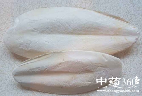 墨鱼骨粉的作用 墨鱼骨粉资料大全
