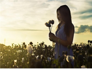 ������𶬳��Ĳ� ���ַ���������