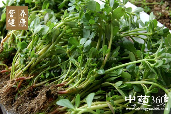 machixiandeyingyangjiazhi