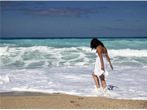 �Ŷ����ʳ�Ʒ� ӵ�����׼���