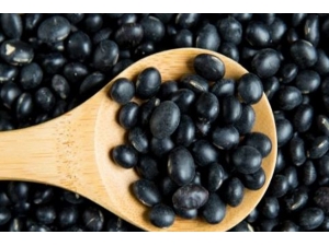 ���������� �Ժڶ���10���ô�