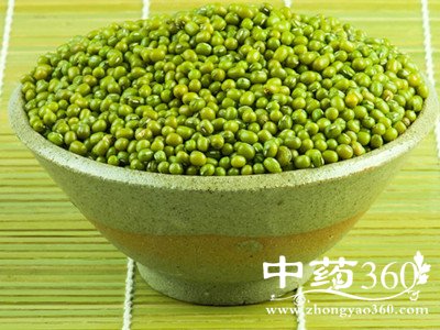 <a href='https://www.zhongyao360.com/z/lvdou/' target='_blank'>̶</a>ͼƬȫ