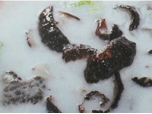 �������ε����� ������������ô����