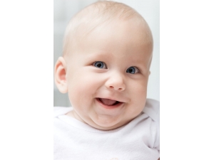 �����������ϵͳ ������������