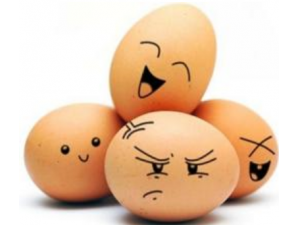 ���۽�����Σ���� ���۽��������а̺���