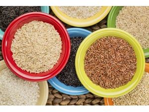 �ļ������ӳ����õĿ�