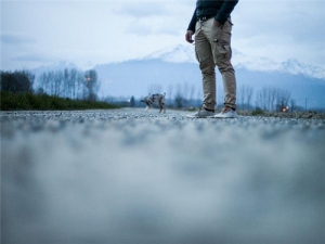 ���������׵ļ���Сƫ�� �������׵ı���