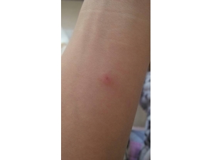 �ó涣ҧ������ ����Щ����ֹ���ķ���