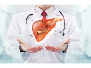 ��Ħ3��Ѩλ���԰����������� ��֪����