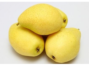 �����ϻ��ʲôˮ���� ��֪����