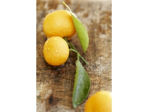 �и����ԳԽ����� ʳ�ý��ӵĺô�