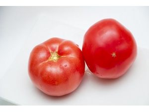 �����ʲô�� �����ļ���ʳȫ����