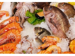 �ƶ����Ĺ�Ч������ Ӫ���ḻ�ô���