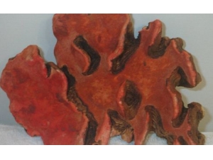 ţ��֥�Ľ�������Щ ţ��֥���ʹ��Ч�����