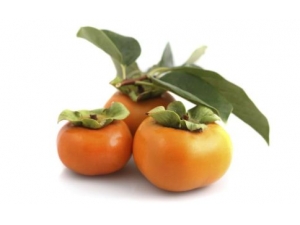 Ұ�������ݾ��� Ұ���ӵ�ҩ�ù�Ч