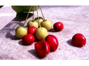 ɽӵĹЧ ĵĹЧ ɽ뺣ĵ