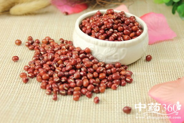 chihongdouyoushenmehaochu