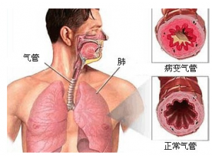 �β�ƵƵ������������?��α��������ǵķ��أ�