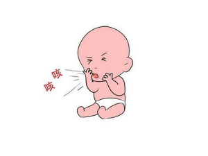 С����̵ֹ����õ�ʳ���Ƽ�