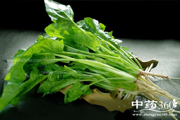 changweibushichishenme