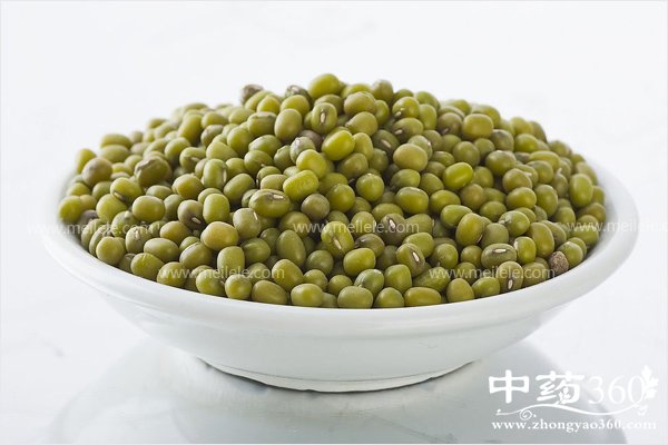 changchilvdoudehaochu