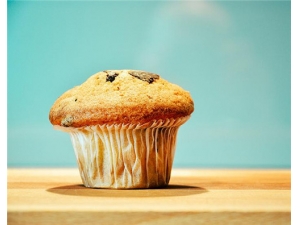 ���ܽ�ĸ�Ĺ�Ч������ ��֬��ѹ��׳��