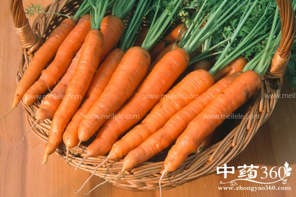 huluobodegongxiaoyuzuoyong 