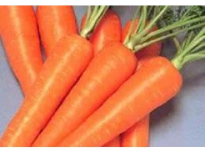 ƶѪ���˳�ʲô�� С���Ƽ�4�Ѫʳ��