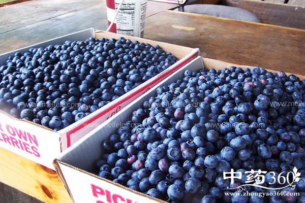 lanmeiyoushenmegongxiao 