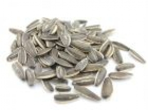 ����_���ӵĹ�Ч|ʳ�÷���