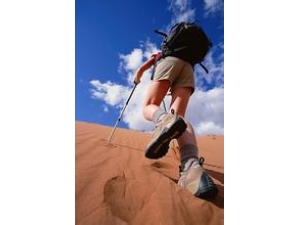 ���컧��ͽ���μ�ע������