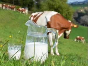 ͬţŲͬĹЧ ͺţҪע