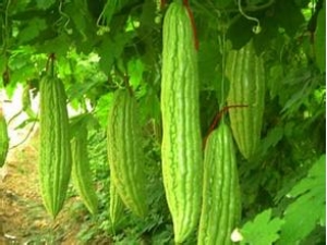 �ļ�����Щ�Ͽ������� �ļ��Թϵĺô�