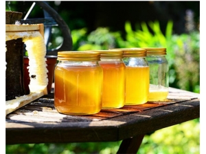 ���ǽ��Ĺ�Ч������ ����ֹ�ʻ���