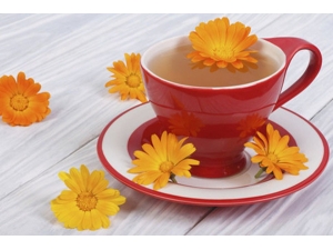 �ļ�������������ʲô�� 7��������ɳ���