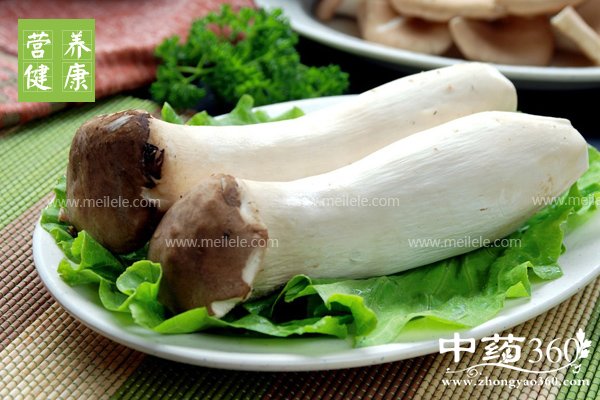 chixingbaoguyoushenmehaochu 