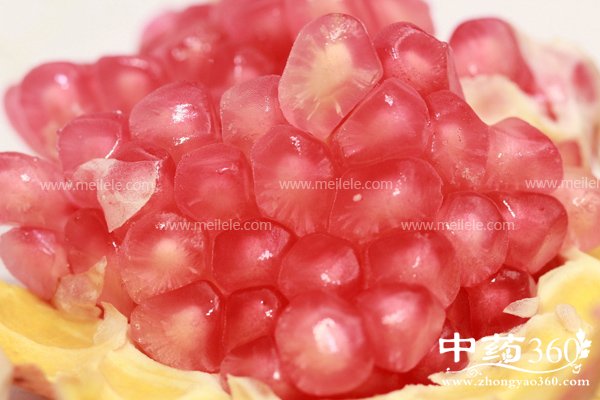 shiliudeyingyangjiazhijigongxiao