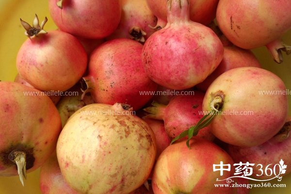 shiliudeyingyangjiazhijigongxiao